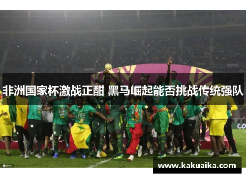 非洲国家杯激战正酣 黑马崛起能否挑战传统强队
